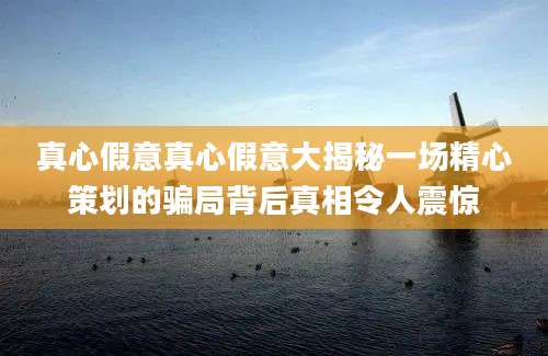 真心假意真心假意大揭秘一场精心策划的骗局背后真相令人震惊