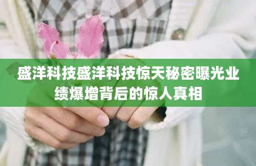 盛洋科技盛洋科技惊天秘密曝光业绩爆增背后的惊人真相