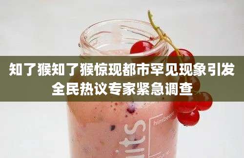 知了猴知了猴惊现都市罕见现象引发全民热议专家紧急调查
