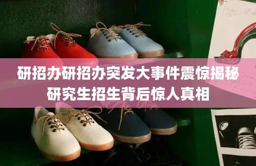 研招办研招办突发大事件震惊揭秘研究生招生背后惊人真相