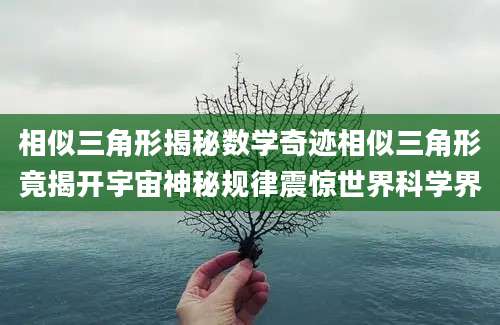 相似三角形揭秘数学奇迹相似三角形竟揭开宇宙神秘规律震惊世界科学界