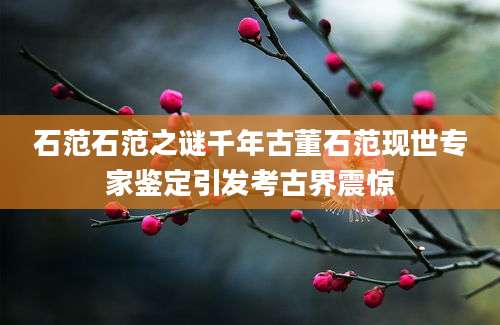 石范石范之谜千年古董石范现世专家鉴定引发考古界震惊