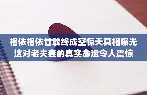 相依相依廿载终成空惊天真相曝光这对老夫妻的真实命运令人震惊