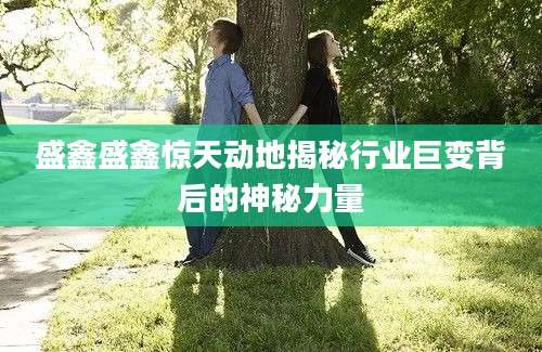 盛鑫盛鑫惊天动地揭秘行业巨变背后的神秘力量