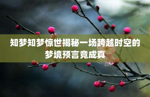 知梦知梦惊世揭秘一场跨越时空的梦境预言竟成真