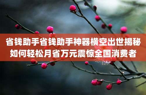 省钱助手省钱助手神器横空出世揭秘如何轻松月省万元震惊全国消费者