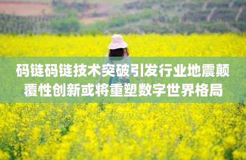 码链码链技术突破引发行业地震颠覆性创新或将重塑数字世界格局