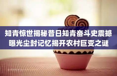 知青惊世揭秘昔日知青奋斗史震撼曝光尘封记忆揭开农村巨变之谜