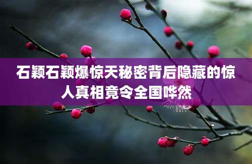 石颖石颖爆惊天秘密背后隐藏的惊人真相竟令全国哗然