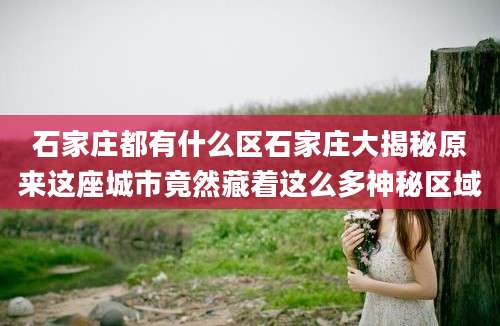 石家庄都有什么区石家庄大揭秘原来这座城市竟然藏着这么多神秘区域