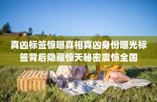 真凶标签惊曝真相真凶身份曝光标签背后隐藏惊天秘密震惊全国