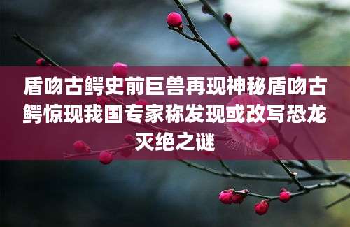 盾吻古鳄史前巨兽再现神秘盾吻古鳄惊现我国专家称发现或改写恐龙灭绝之谜
