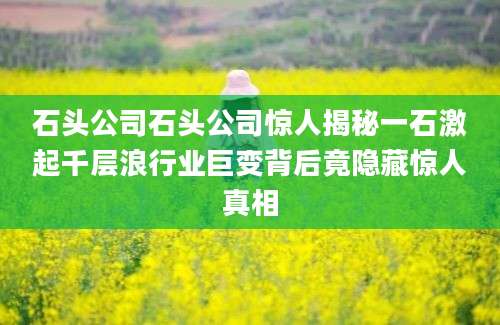 石头公司石头公司惊人揭秘一石激起千层浪行业巨变背后竟隐藏惊人真相