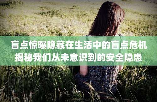 盲点惊曝隐藏在生活中的盲点危机揭秘我们从未意识到的安全隐患