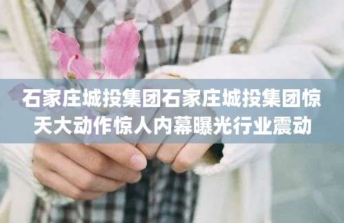 石家庄城投集团石家庄城投集团惊天大动作惊人内幕曝光行业震动