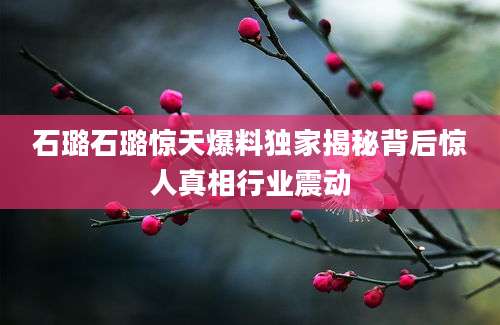 石璐石璐惊天爆料独家揭秘背后惊人真相行业震动