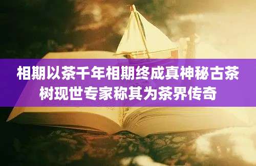相期以茶千年相期终成真神秘古茶树现世专家称其为茶界传奇
