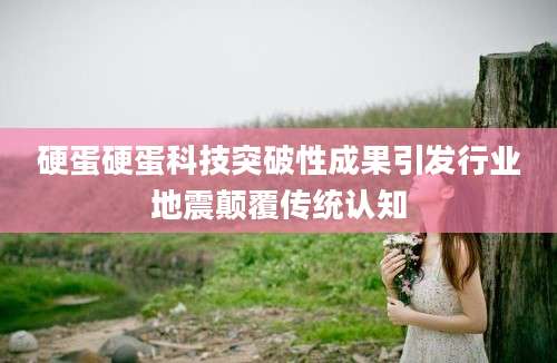 硬蛋硬蛋科技突破性成果引发行业地震颠覆传统认知