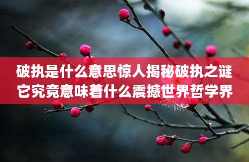 破执是什么意思惊人揭秘破执之谜它究竟意味着什么震撼世界哲学界