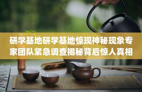 研学基地研学基地惊现神秘现象专家团队紧急调查揭秘背后惊人真相