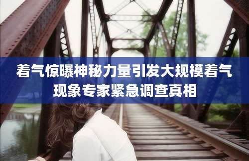着气惊曝神秘力量引发大规模着气现象专家紧急调查真相