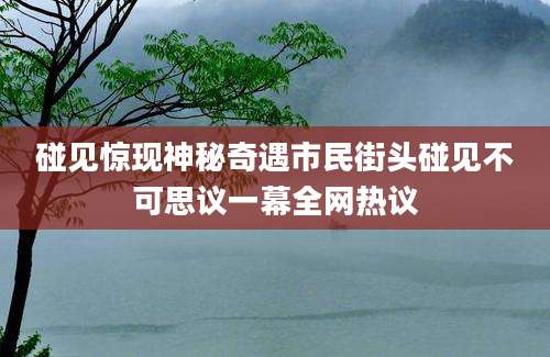 碰见惊现神秘奇遇市民街头碰见不可思议一幕全网热议