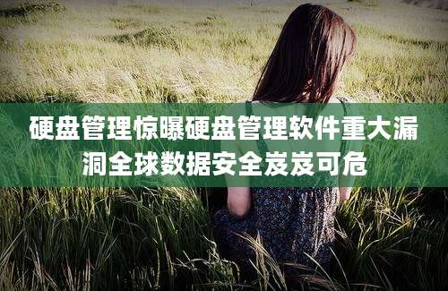 硬盘管理惊曝硬盘管理软件重大漏洞全球数据安全岌岌可危