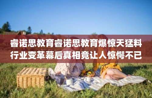 睿诺思教育睿诺思教育爆惊天猛料行业变革幕后真相竟让人惊愕不已