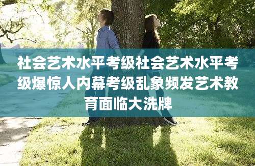 社会艺术水平考级社会艺术水平考级爆惊人内幕考级乱象频发艺术教育面临大洗牌