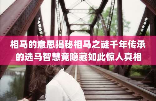 相马的意思揭秘相马之谜千年传承的选马智慧竟隐藏如此惊人真相