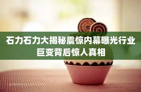 石力石力大揭秘震惊内幕曝光行业巨变背后惊人真相