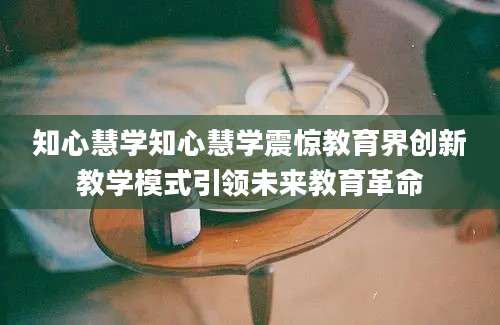 知心慧学知心慧学震惊教育界创新教学模式引领未来教育革命