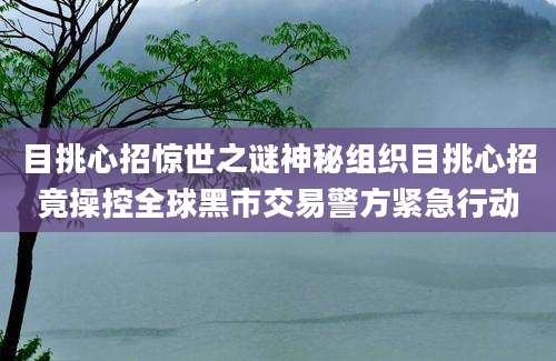 目挑心招惊世之谜神秘组织目挑心招竟操控全球黑市交易警方紧急行动