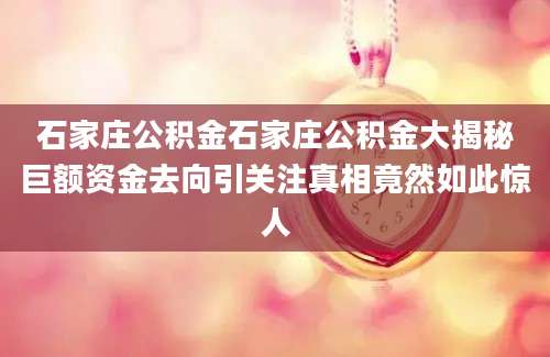 石家庄公积金石家庄公积金大揭秘巨额资金去向引关注真相竟然如此惊人