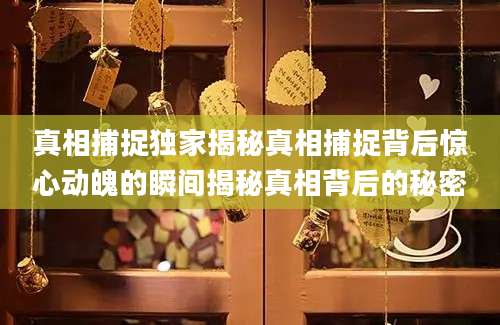 真相捕捉独家揭秘真相捕捉背后惊心动魄的瞬间揭秘真相背后的秘密