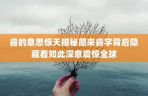 睿的意思惊天揭秘原来睿字背后隐藏着如此深意震惊全球