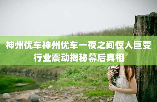 神州优车神州优车一夜之间惊人巨变行业震动揭秘幕后真相