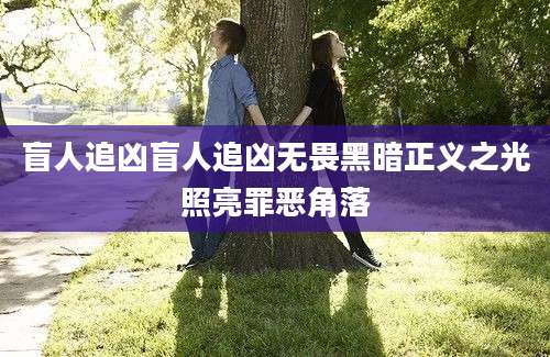 盲人追凶盲人追凶无畏黑暗正义之光照亮罪恶角落