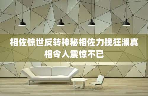 相佐惊世反转神秘相佐力挽狂澜真相令人震惊不已