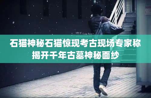 石猫神秘石猫惊现考古现场专家称揭开千年古墓神秘面纱