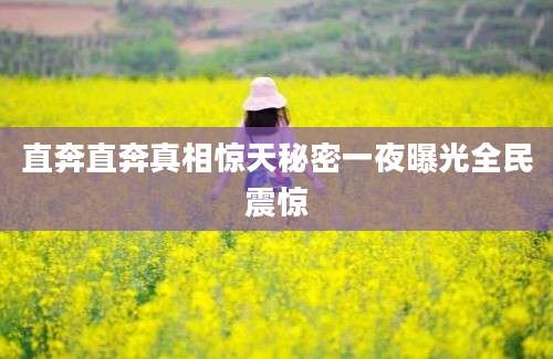 直奔直奔真相惊天秘密一夜曝光全民震惊