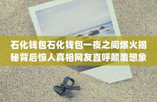 石化钱包石化钱包一夜之间爆火揭秘背后惊人真相网友直呼颠覆想象