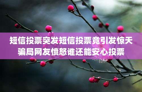 短信投票突发短信投票竟引发惊天骗局网友愤怒谁还能安心投票