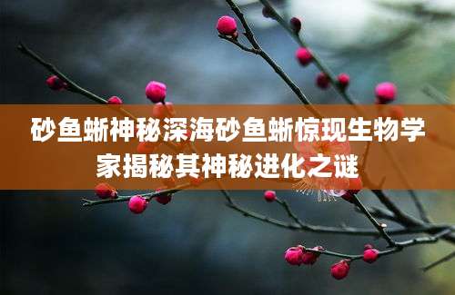砂鱼蜥神秘深海砂鱼蜥惊现生物学家揭秘其神秘进化之谜