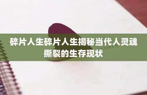 碎片人生碎片人生揭秘当代人灵魂撕裂的生存现状