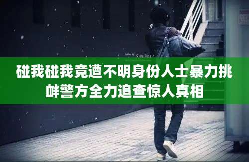 碰我碰我竟遭不明身份人士暴力挑衅警方全力追查惊人真相