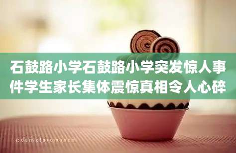 石鼓路小学石鼓路小学突发惊人事件学生家长集体震惊真相令人心碎