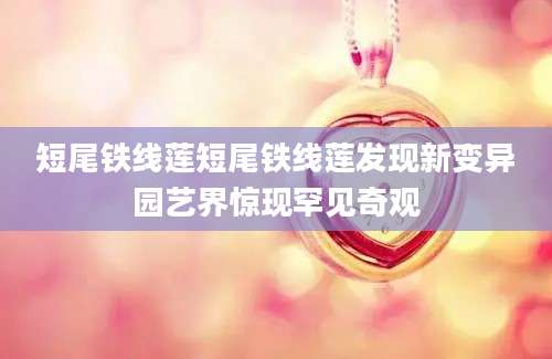 短尾铁线莲短尾铁线莲发现新变异园艺界惊现罕见奇观