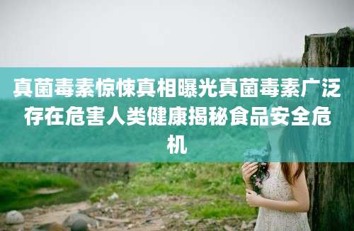 真菌毒素惊悚真相曝光真菌毒素广泛存在危害人类健康揭秘食品安全危机