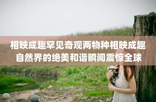 相映成趣罕见奇观两物种相映成趣自然界的绝美和谐瞬间震惊全球